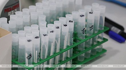 ПРООН поддерживает системы здравоохранения более десятка стран в борьбе с коронавирусом