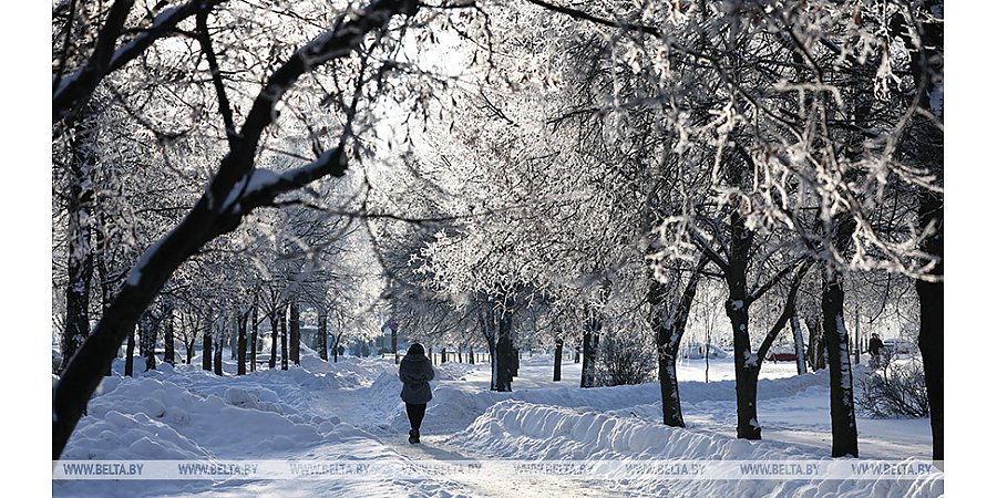 Морозы до -28°С ожидаются в Беларуси 17 января