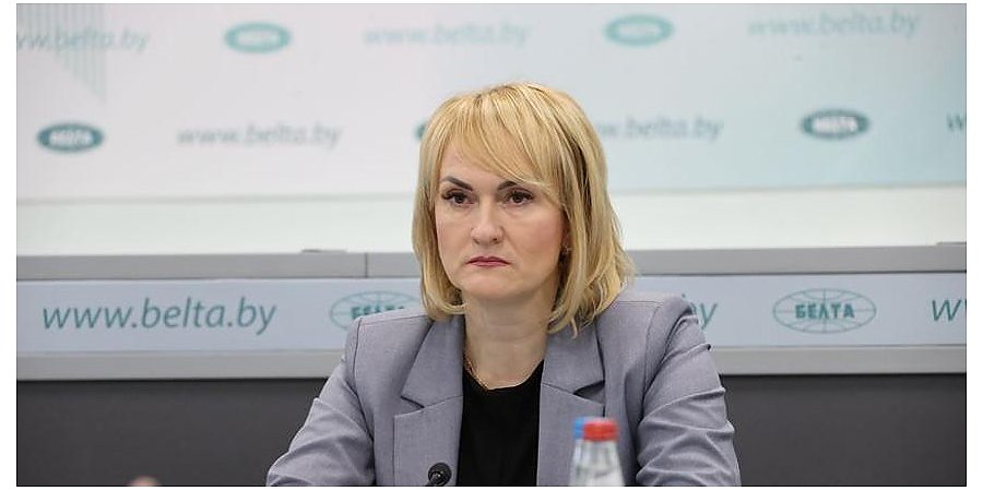 ЦИК: агитационный период в Беларуси начнется с 31 января