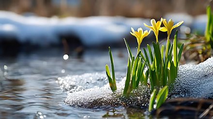 Прогноз погоды по Гродненской области на 1 марта