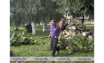 В Вороновском районе проходит масштабный субботник, направленный на устранение последствий грозового фронта 