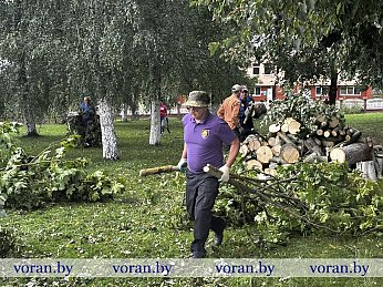 В Вороновском районе проходит масштабный субботник, направленный на устранение последствий грозового фронта 