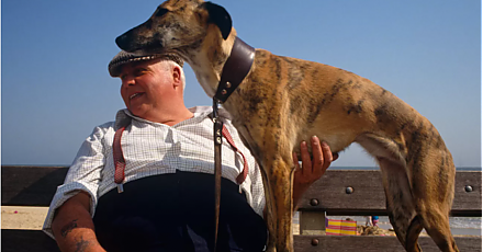 ВОЗ: в Европе от "эпидемии ожирения" умирают миллионы людей