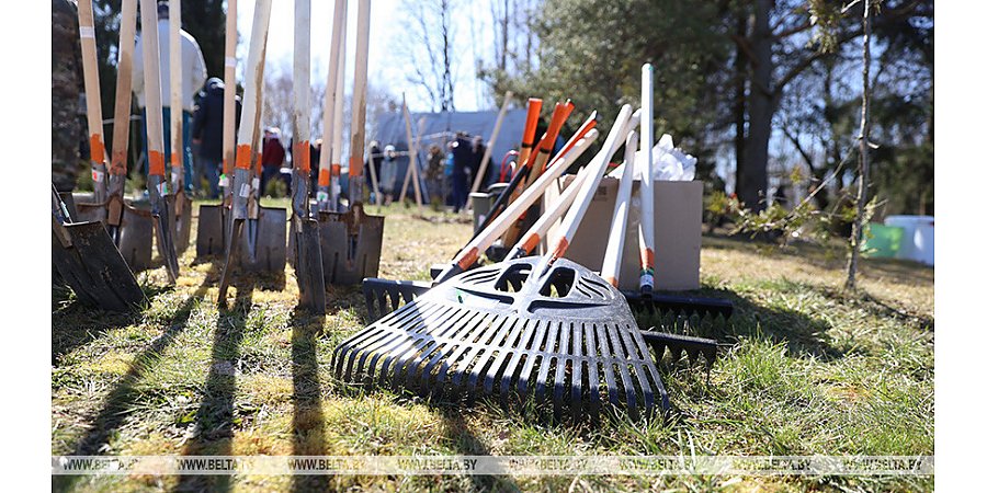 Конкурс "Молодежь за чистоту городов и сел" стартует в Беларуси 1 мая