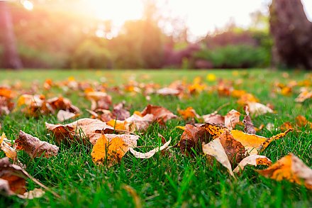 Народные приметы на 11 сентября 2025 года: что можно и нельзя делать в этот день