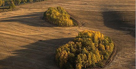 В Минприроды заявили об уменьшении количества загрязненных радиацией земель в Беларуси
