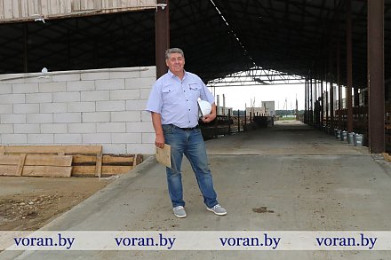 Созидая на родной земле