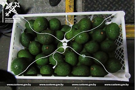 Литовский перевозчик, следуя из Нидерландов, не задекларировал﻿ 3,3 тонны кокосов и лаймов