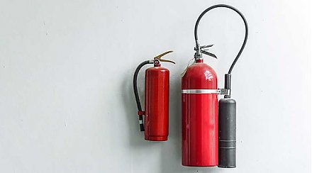 Ученые назвали лучшую в мире диету