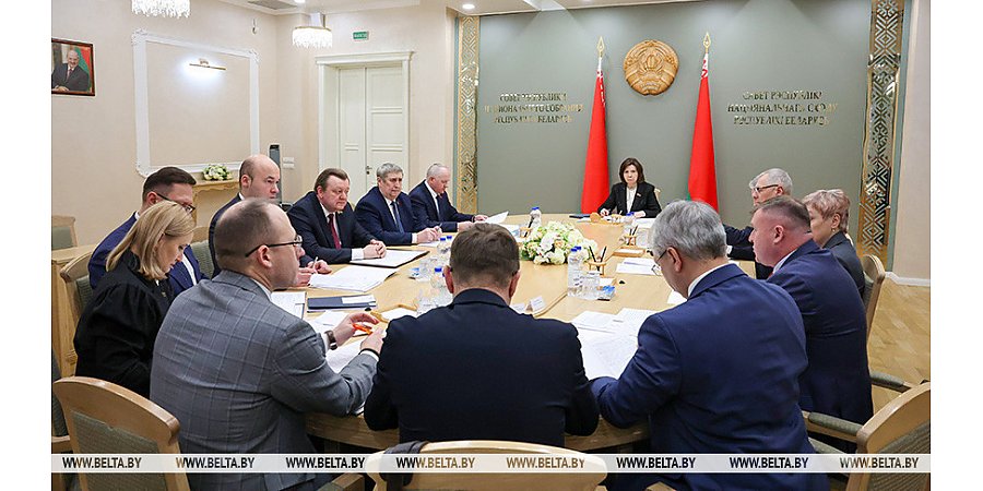 Изменения в закон о гражданстве рассмотрели на экспертном совете при Совете Республики 