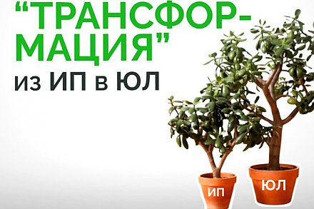 "Бесшовный" переход ИП в юридическое лицо