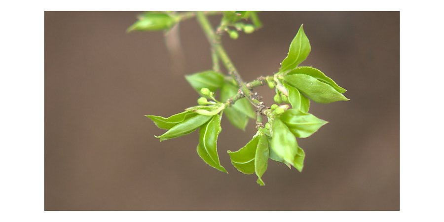 День весеннего равноденствия в 2025 году: Какого числа и в чем его суть