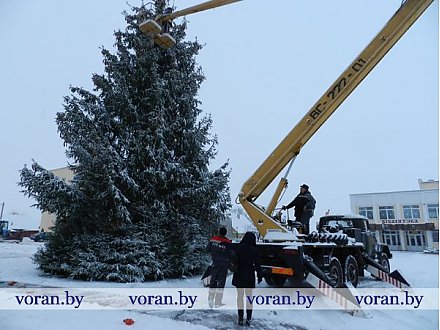 Сегодня украшали главную елку района (фото)