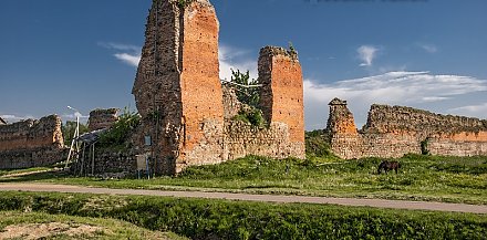 Фонд Президента выделит Минкультуры деньги на реставрацию Гольшанского и Кревского замков
