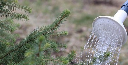 Республиканский субботник проходит в Беларуси