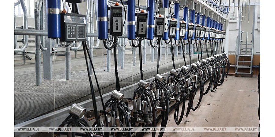 По 10 молочно-товарных комплексов в каждой области планируется ввести за два года