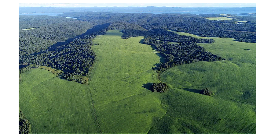 Народные приметы на 29 июля: что можно и нельзя делать в этот день