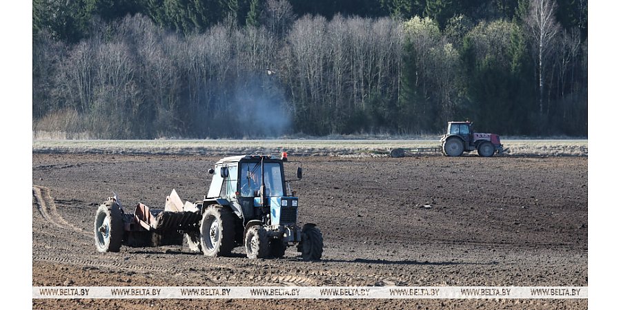 Александр Лукашенко про дисциплину в сельском хозяйстве: требования будут только усиливаться