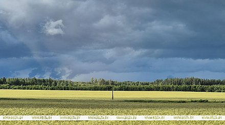 Кратковременные дожди и грозы ожидаются сегодня в Беларуси
