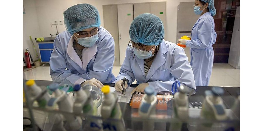 В Китае открыли моноклональное антитело, нейтрализующее все штаммы коронавируса