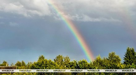 До +26°С и грозы по юго-западу. Какой будет погода в Беларуси 9 сентября