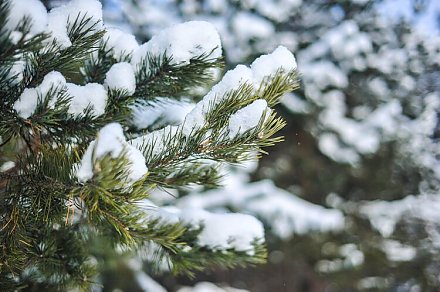 Что нельзя делать в Ведьмины посиделки: приметы на 26 декабря 2025