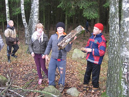 Чистые “легкие” страны