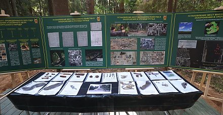 Роман Головченко: в Беларуси проводится скоординированная работа по увековечению памяти жертв геноцида