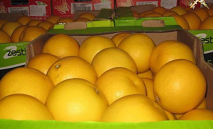 "Забыл" указать в документах. В пункте пропуска «Берестовица» изъяли грейпфруты на сумму более 2000 рублей