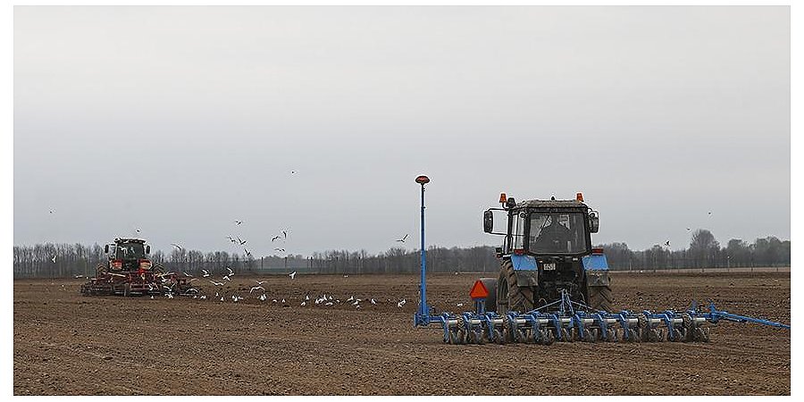 Посевную в Беларуси планируют завершить до 9 мая