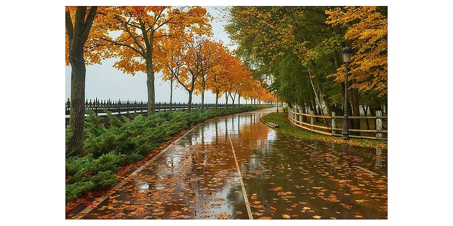 Народные приметы на 20 октября 2025 года: как не выпустить удачу из дома