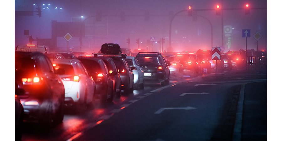 Польские фермеры протестуют против поставок украинского зерна в республику