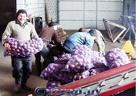 Наша бульбачка прыйшлася да смаку ў Малдове, Дагестане...