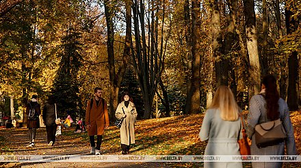 Щекович: ВНС должно стать балансовым органом между тремя ветвями власти