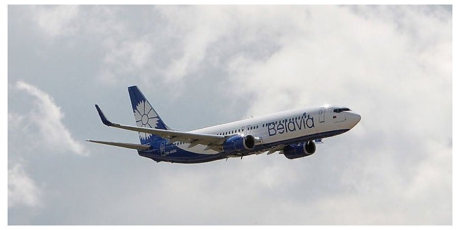 Гендиректор "Белавиа": "васильки" останутся в небе, мы будем летать