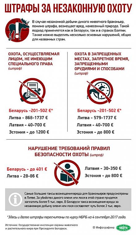 Инфографика: Штрафы за незаконную охоту