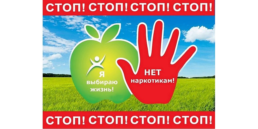 Упредить беду. С 16 марта по 7 апреля в Беларуси проходит основной этап оперативно-профилактических мероприятий по противодействию незаконному обороту наркотиков
