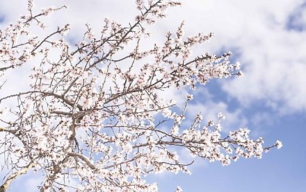 Ждем очередной рекорд? В Беларуси на этой неделе будет теплее еще на 10 градусов