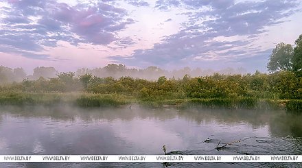 "Белорусское лето собрало чемоданы". Какой будет погода 22-27 августа, рассказали в Белгидромете