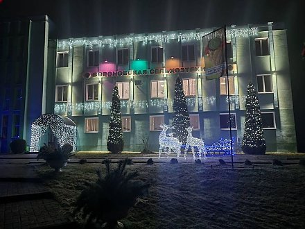 Вороновским райисполкомом подведены итоги районного смотра-конкурса на лучшее новогоднее оформление населенных пунктов, организаций, жилых домов в 2025 году
