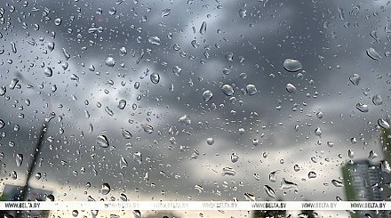 Дождливо и облачно. Какой будет погода в Беларуси сегодня