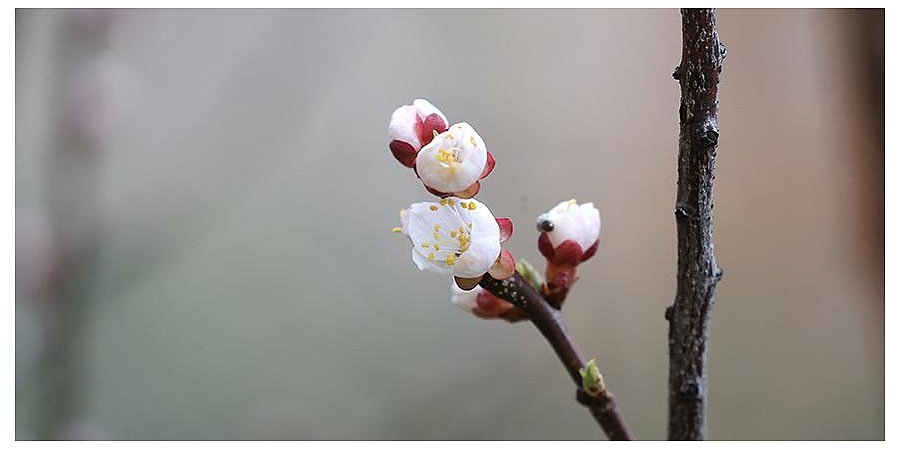 Переменная облачность и до +23°С ожидается в Беларуси 8 апреля