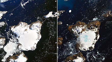 В Антарктиде очень быстро тает снег из-за высокой температуры