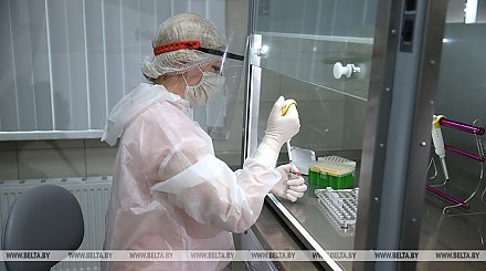 В Беларуси планируют изучить циркулирующие в стране штаммы нового коронавируса