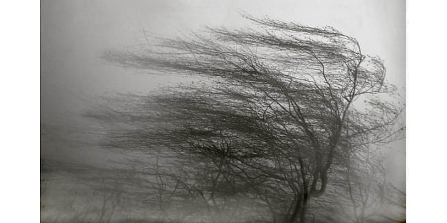 Оранжевый уровень опасности объявлен в Беларуси 22 февраля из-за сильного ветра