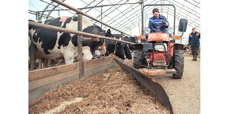 В Беларуси расширен перечень товаров, на которые установлено регулирование цен