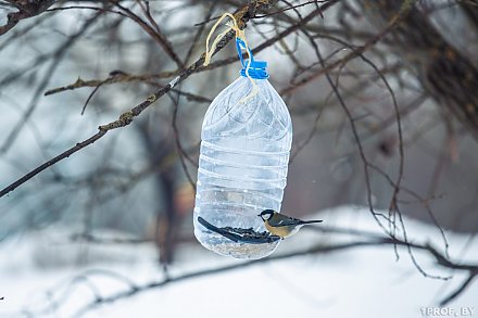 Мягкая снежная зима. Какой будет погода в Беларуси с 22 по 28 января