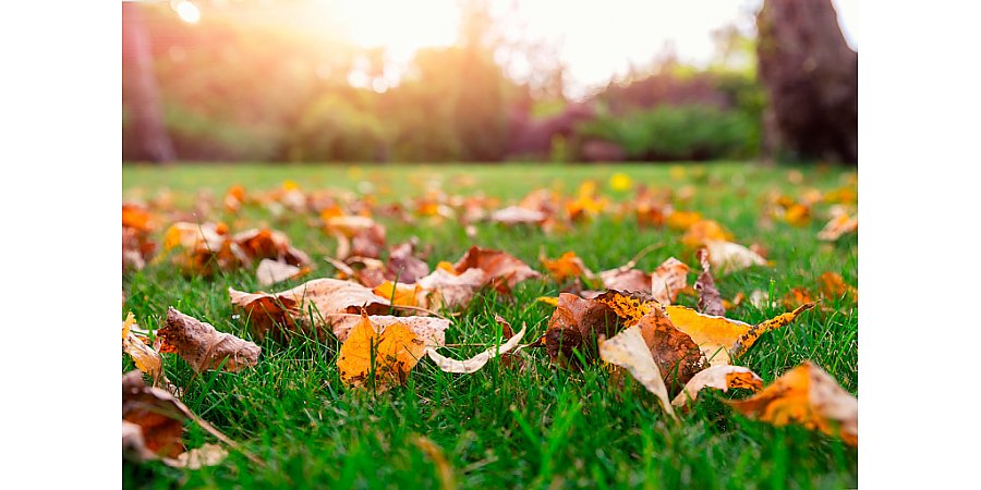 Народные приметы на 11 сентября 2025 года: что можно и нельзя делать в этот день