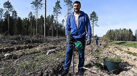 Тихон об акции "Аднавім лясы разам": приятно создавать новое, совместный труд сближает