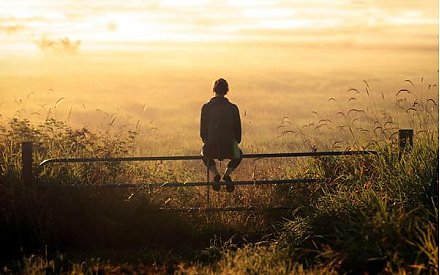 Здравый смысл, здоровый образ жизни. Почему спокойствие бережет здоровье